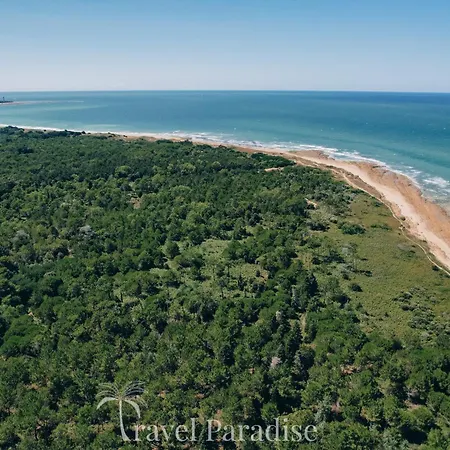 Domaine Rose Tremiere *